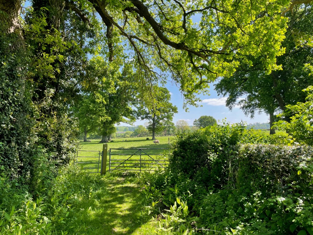 New beginnings in an old, familiar&nbsp;place.